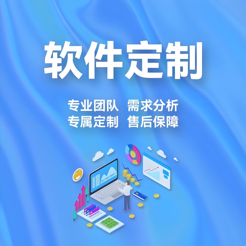 软件开发助力企业数字化转型